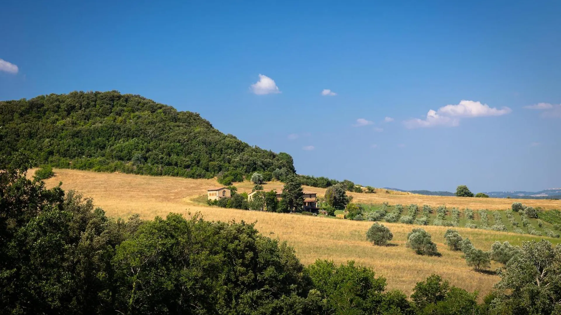 Alloggio per agriturismo Agriturismo San Carlo Pomarance